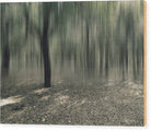 Forest In Motion - Wood Print - Enet Images