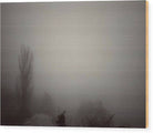 In The Fog - Wood Print - Enet Images