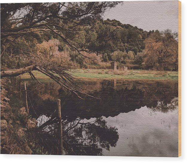 Reflections After The Rain - Wood Print - Enet Images