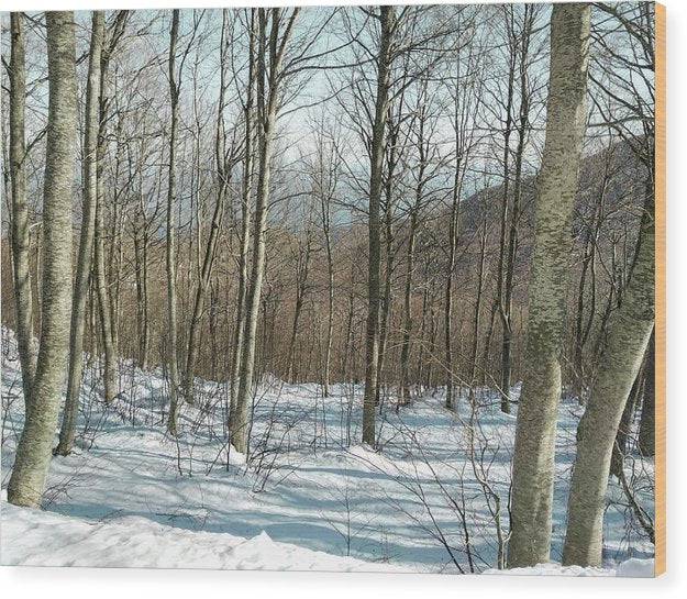 Snowy Forest - Wood Print - Enet Images