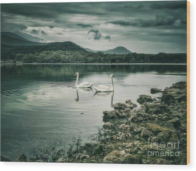 Swans in the lake - Wood Print - Enet Images