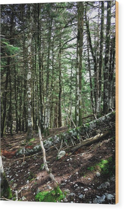 Trees In The Forest - Wood Print