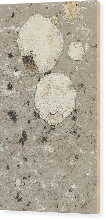 Abstraktes Muster auf Stein 2-Skizzenmuster - Holzdruck
