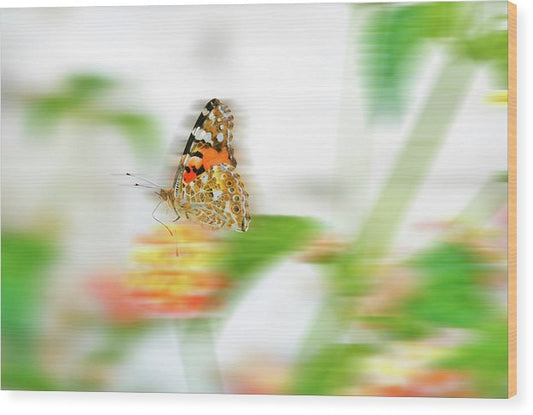 Butterfly in Motion  - Wood Print