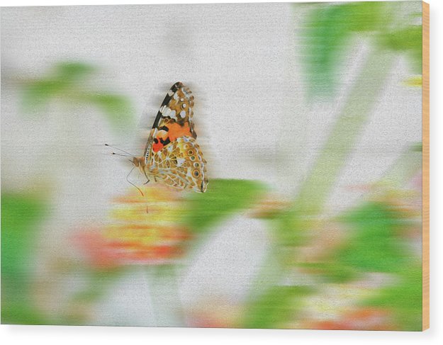 Butterfly In Motion-Oil Effect - Wood Print