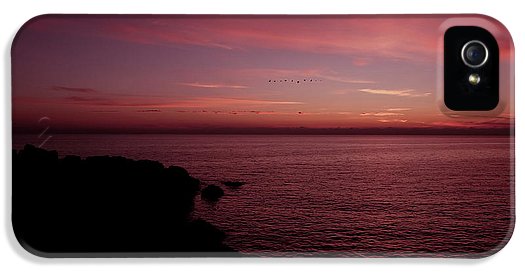 Flock Of Birds Against The Sunset - Phone Case - Enet Images