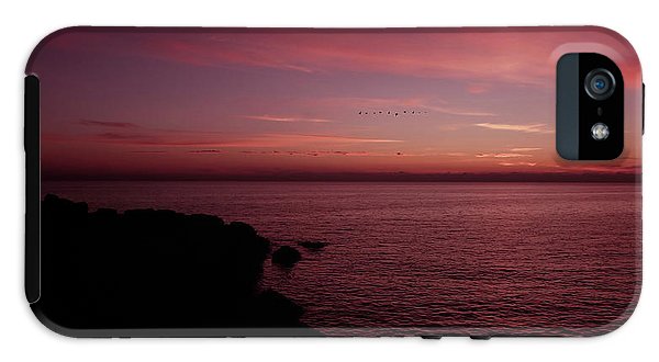 Flock Of Birds Against The Sunset - Phone Case - Enet Images