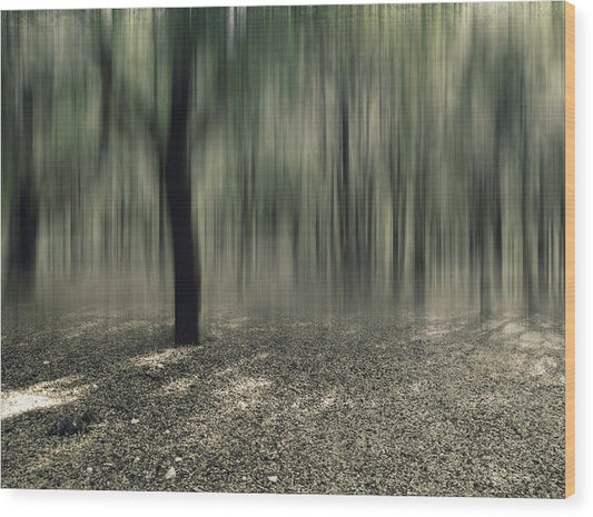 Forest In Motion - Wood Print