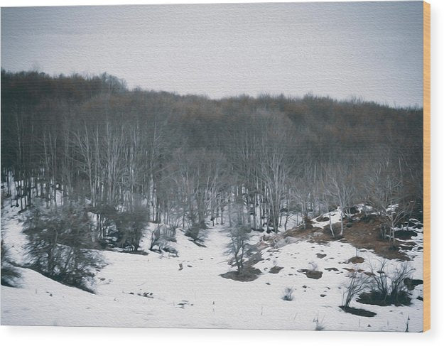 Forest Trees In Winter  - Wood Print