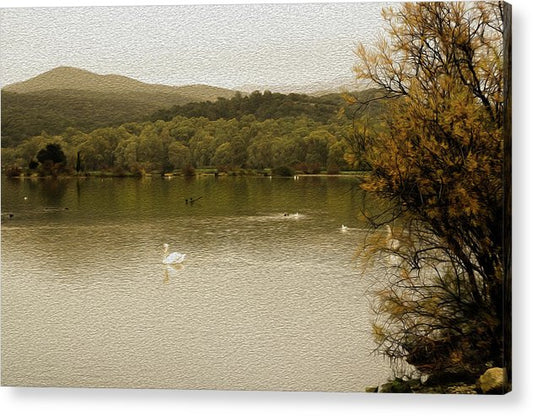 Life In The Lagoon-Oil Effect - Ακρυλική εκτύπωση