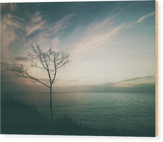 Lonely Tree Against The Ocean - Wood Print