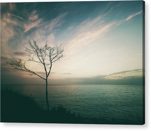 Einsamer Baum gegen den Ozean - Acrylbild