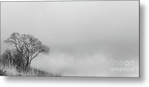Lonely tree black and white - Metal Print