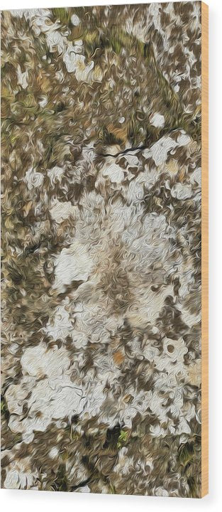 Natural Lichen On Stone-Oil Effect - Wood Print