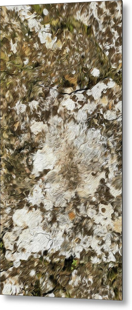 Natural Lichen On Stone-Oil Effect - Metal Print