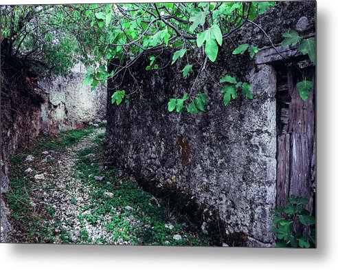 Old Alley And The Fig Tree - Metal Print
