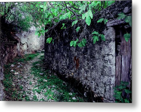 Old Alley And The Fig Tree Oil Effect - Metal Print