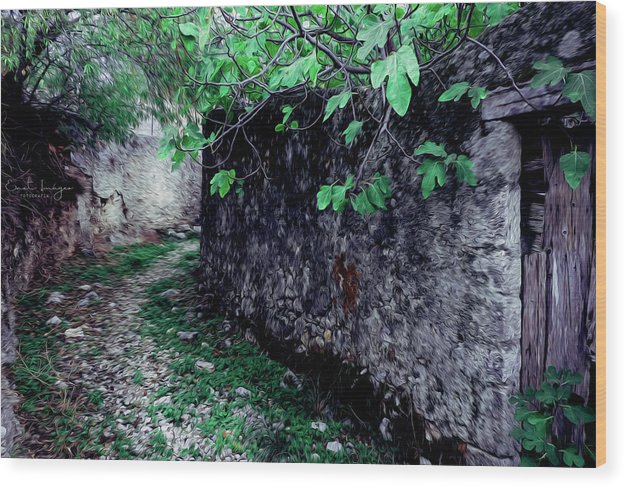 Old Alley And The Fig Tree Oil Effect - Wood Print