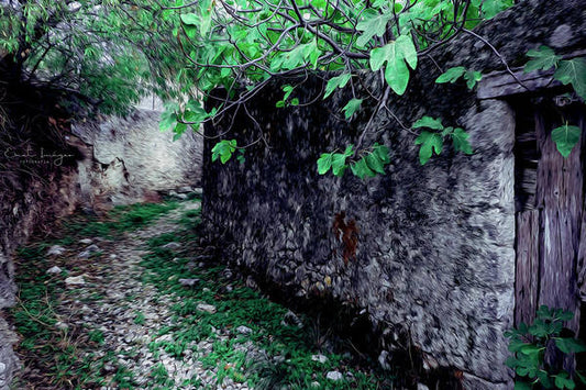 Old Alley And The Fig Tree Oil Effect - Art Print