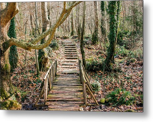 Path in the Forest - Metal Print