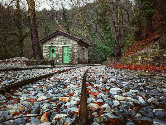 Rail Station On The Mountain - Art Print