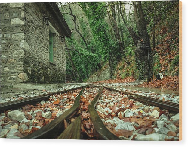 Rail tracks - Wood Print