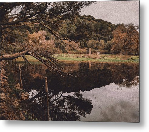 Reflections After The Rain - Metal Print