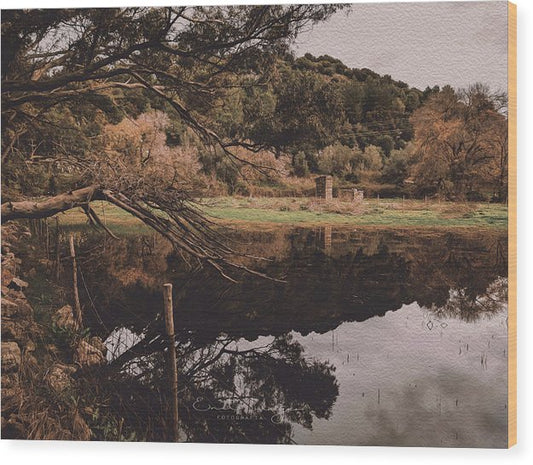 Reflections After The Rain - Wood Print