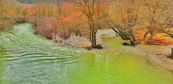 Fluss im Wald - Kunstdruck