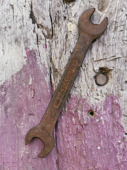 Rusty Screw Key - Art Print