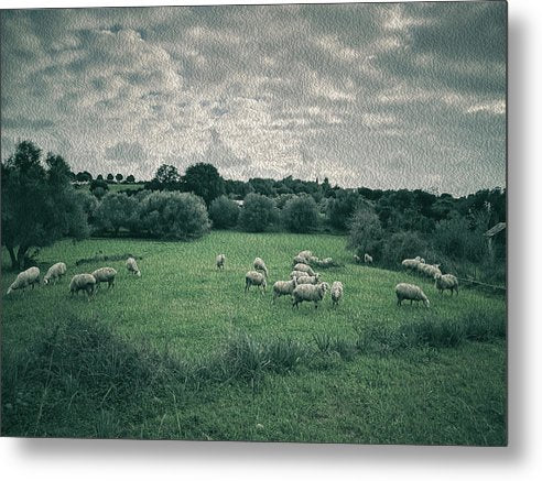 Εφέ Sheep In The Meadow-έλαιο - Μεταλλική εκτύπωση