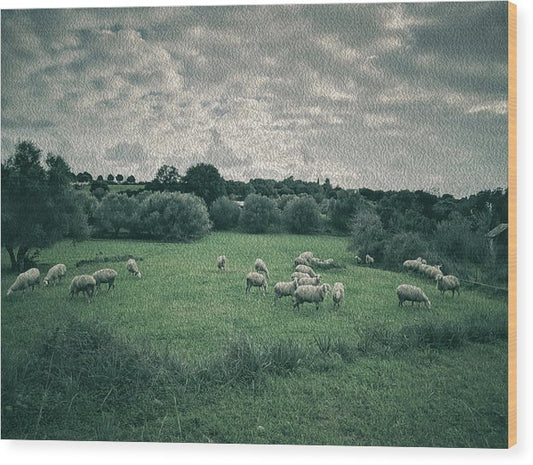 Sheep In The Meadow-εφέ λαδιού - Wood Print