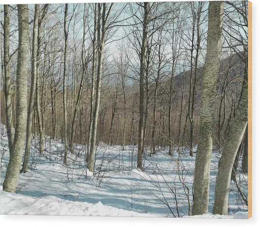 Verschneiter Wald - Holzdruck