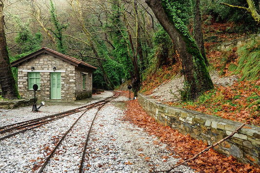 Stony Rail Station - Art Print