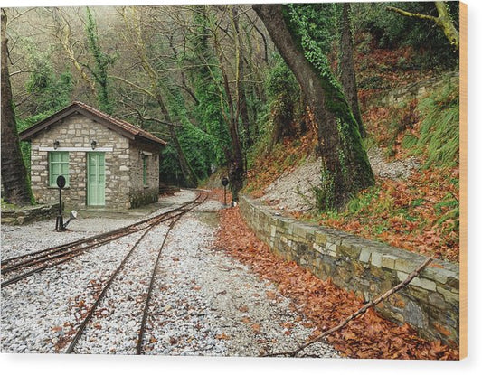 Stony Rail Station - Wood Print