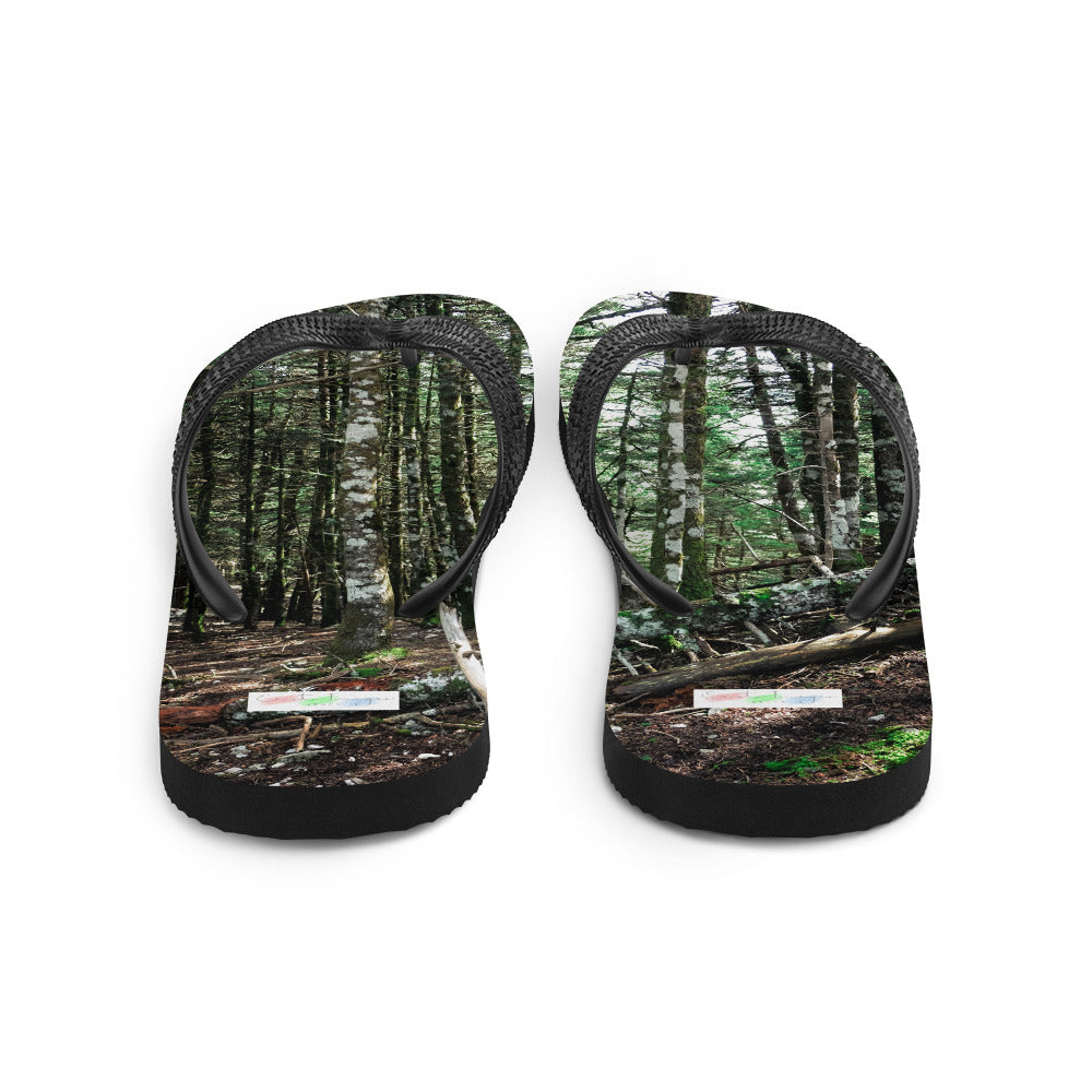 Flip-Flops/Bäume im Wald