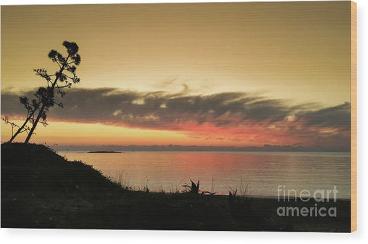 Tree against the sunset - Wood Print