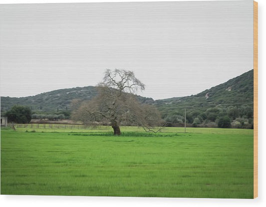 Tree In The Meadow - Ξύλο εκτύπωσης