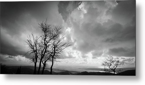 Tree in winter black and white - Metal Print