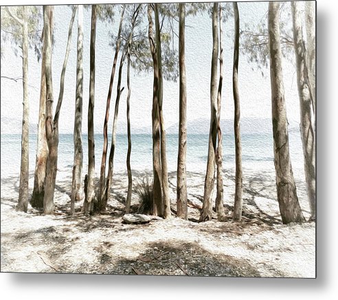Tree Trunks On The Beach-Oil Effect - Metal Print
