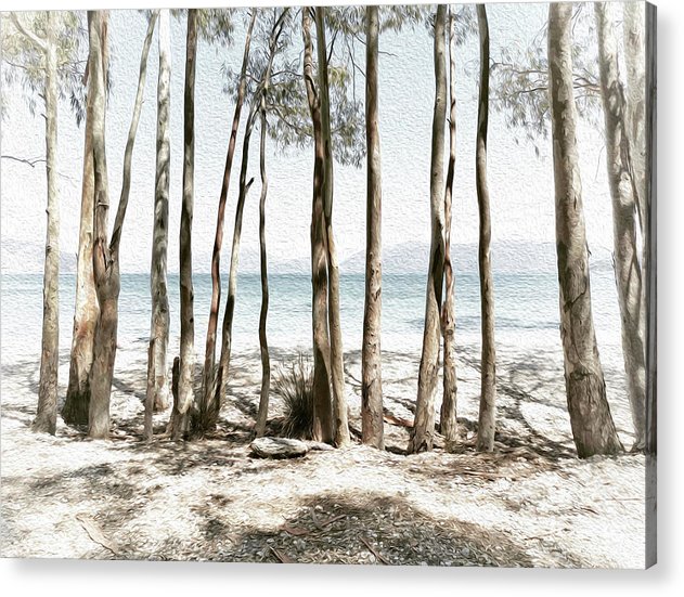 Tree Trunks On The Beach-Oil Effect - Acrylic Print
