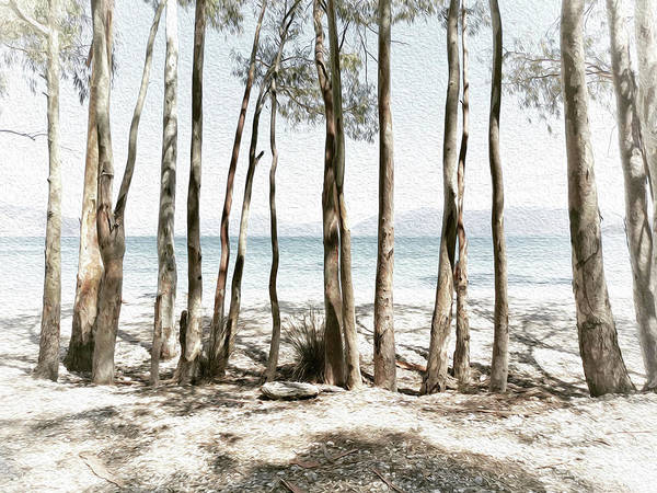 Tree Trunks On The Beach-Oil Effect - Art Print