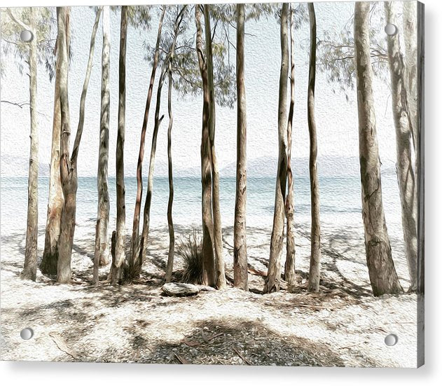 Tree Trunks On The Beach-Oil Effect - Acrylic Print