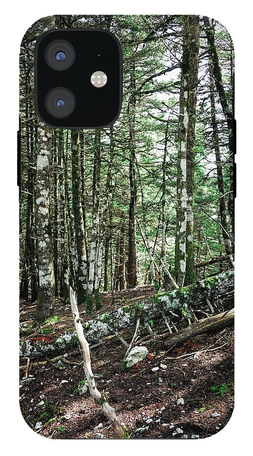 Trees In The Forest - Phone Case - Enet Images