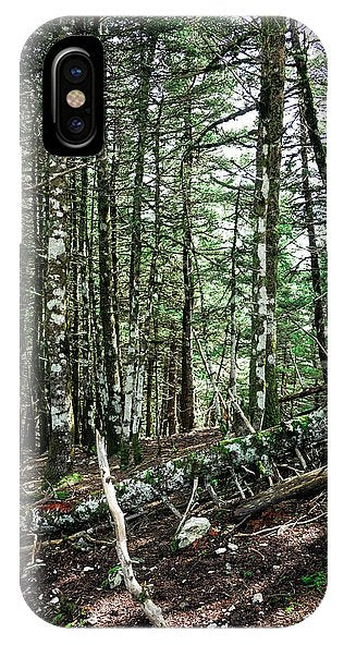 Trees In The Forest - Phone Case - Enet Images