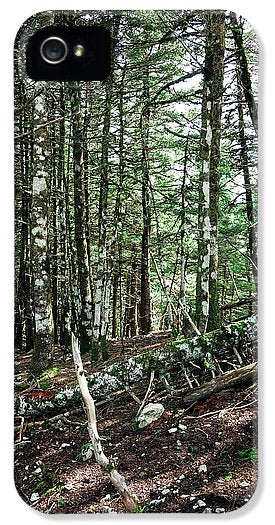 Trees In The Forest - Phone Case - Enet Images