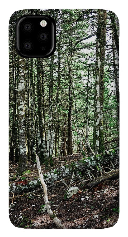 Trees In The Forest - Phone Case - Enet Images