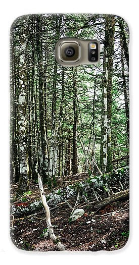 Trees In The Forest - Phone Case - Enet Images