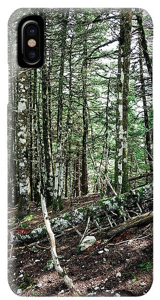 Trees In The Forest - Phone Case - Enet Images