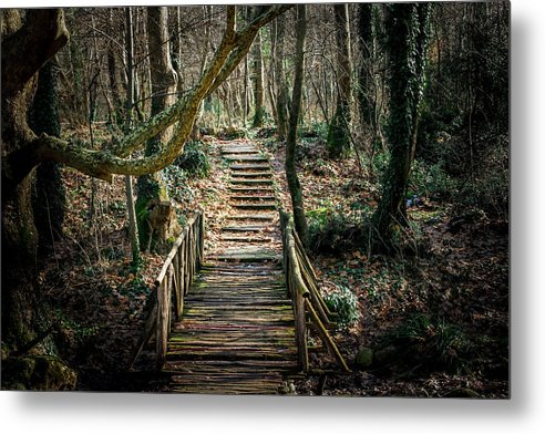 Wooden Path In The Forest - Metal Print